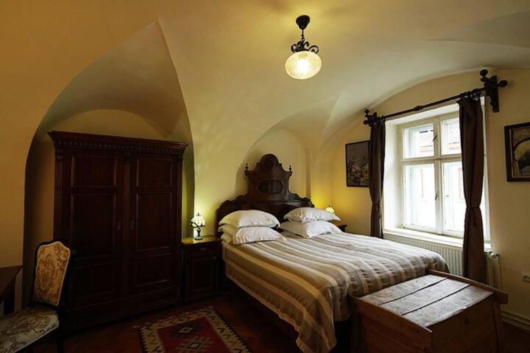Fronius Boutique Residence Σιγκισοάρα Εξωτερικό φωτογραφία