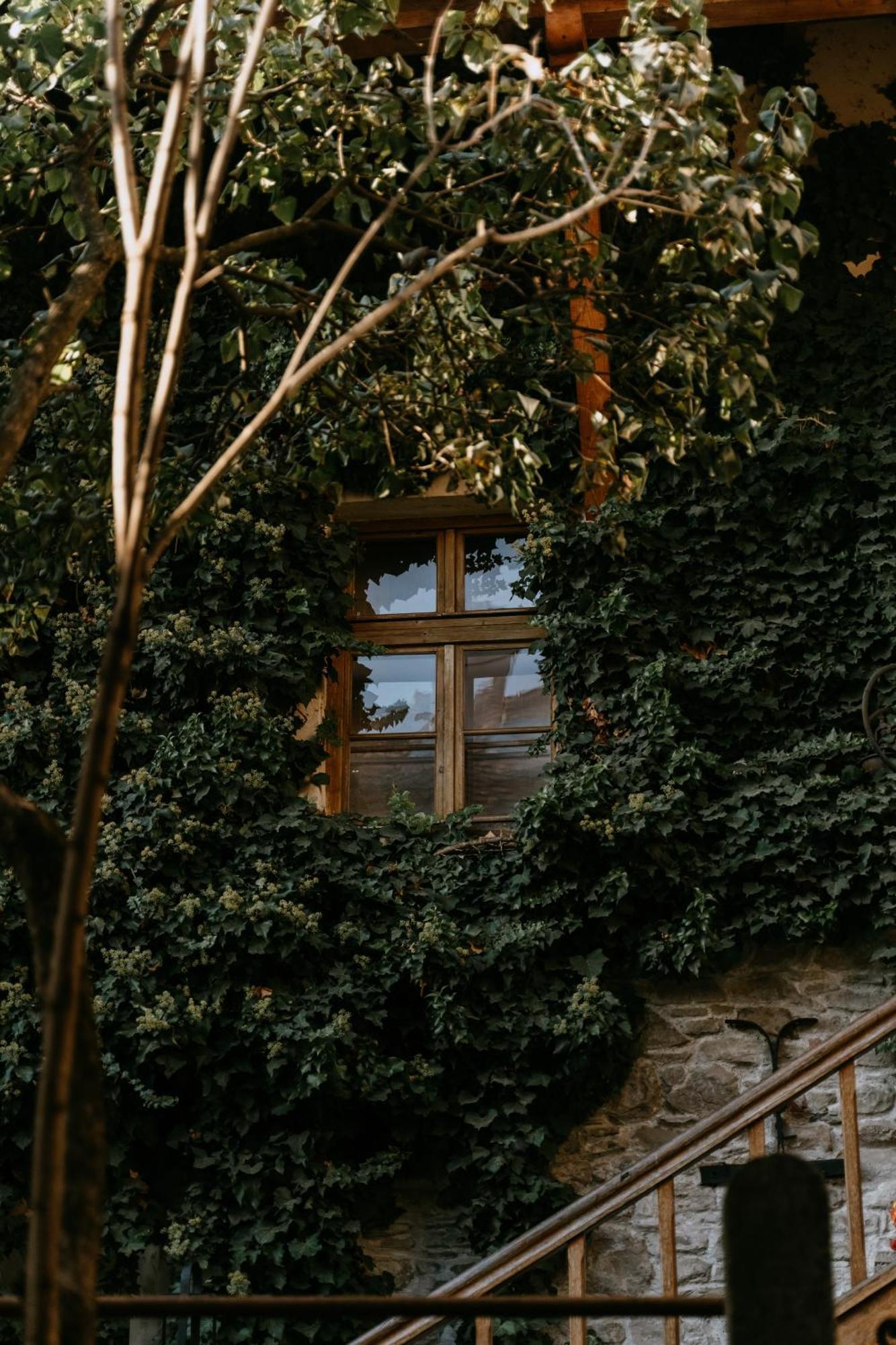 Fronius Boutique Residence Σιγκισοάρα Εξωτερικό φωτογραφία